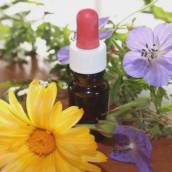 Homeopatia