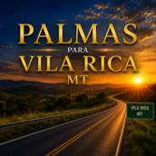 Transfer de Palmas para Vila Rica MT
