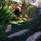 Adubação de jardim 