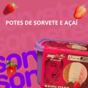 Potes de Sorvete e Açaí em Itapetininga