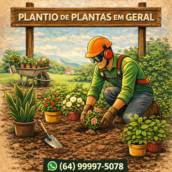 Plantio de Plantas em Geral