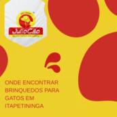 Onde Comprar Brinquedos para Gatos em Itapetininga 