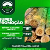 Escora de Eucalipto em Promoção na Stillus Madeireira
