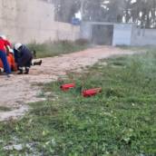 Treinamento de Brigada de Incêndio