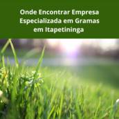 Onde Encontrar Empresa Especializada em Gramas em Itapetininga 