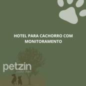 Hotel para Cachorro com Monitoramento