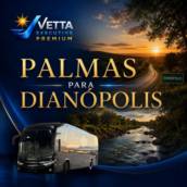 Serviços de Transporte com Ônibus de Palmas para Dianópolis, TO