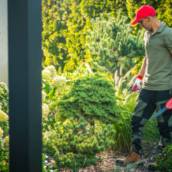 Manutenção de Jardins e Áreas Verdes em Riviera de Santa Cristina I, SP