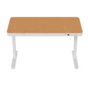 Mesa com Regulagem de Altura Elétrica em Venâncio Aires/RS: Versatilidade e Conforto Personalizado