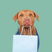 Delivery de Pet Shop em Avaré