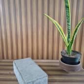 Paver Retangular 10x06x20