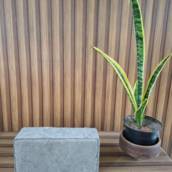 Paver Retangular 10x06x20