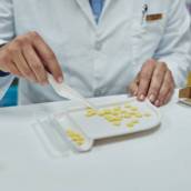 Pastas orais manipuladas em Barra Bonita