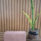 Paver Retangular Vermelho 10x6x20