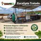 Eucalipto tratado: mais proteção, resistência e durabilidade