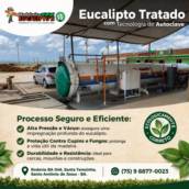 Eucalipto tratado: mais proteção, resistência e durabilidade