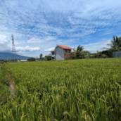 Medição de Terreno Precisa em Avaré SP