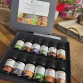 Óleos Essenciais e Essências Aromáticas em Riviera de Santa Cristina XIII