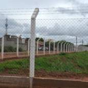 Mourão em Três Lagoas