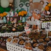 Festa de Aniversário Infantil em Bauru | Buffet Infantil