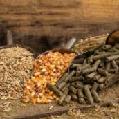 Produtos Agropecuários para Animais de Grande Porte em Lençóis Paulista
