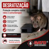 Desratização em Cândido Mota, SP