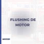 Flushing de Motor em Itapetininga 