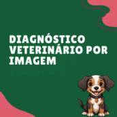 Diagnóstico Veterinário Por Imagem Em Itapetininga