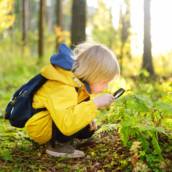 Curso de Monitoria Infantil em Queimados 