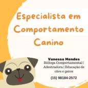 Especialista em Comportamento Canino em Itapetininga