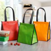 Bolsa Térmica 6 Litros