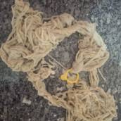 Tripa de Carneiro 90 metros em Cuiabá para Linguiças