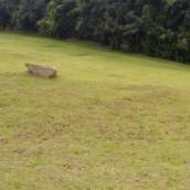 Terreno Ville de France