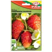 semente de morango ornamental silvestre 