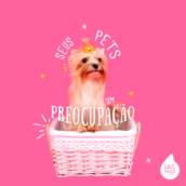Higienização e Tratamento da Casinha do seu Pet 