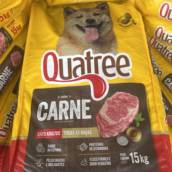 Ração premium para cães adultos 
