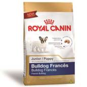 BULLDOG FRANCÊS PUPPY ROYAL CANIN