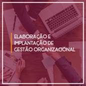  Elaboração e Implantação de Gestão Organizacional