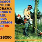 Limpeza de terreno