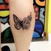 Borboleta 