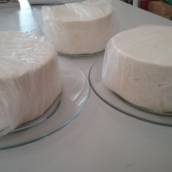 Queijo fresco