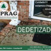 Bioprag Dedetizadora
