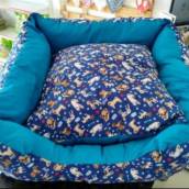 Caminha de Pets 