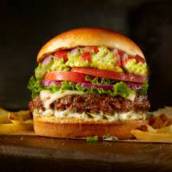 X - Eggs Burguer Bacon
