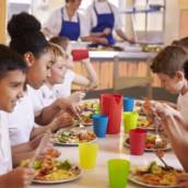 Especialização em Alimentação e Nutrição Escolar