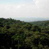 Terreno Rural - Estrada da Serrinha - São Roque