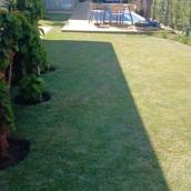 Jardinagem e paisagismo. 