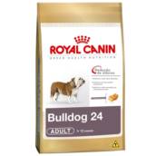 BULLDOG ADULT ROYAL CANIN