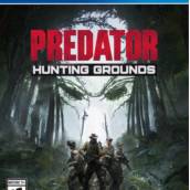 predator hunting grounds - PS4