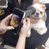 exame do fundo de olho para diagnóstico  em problemas de acuidade visual 